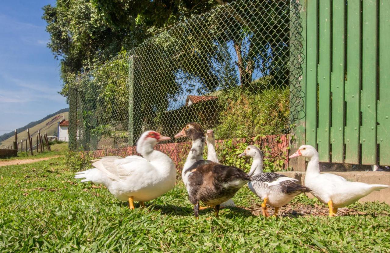 Hotel Fazenda Canto Da Serra Jaconé Eksteriør bilde