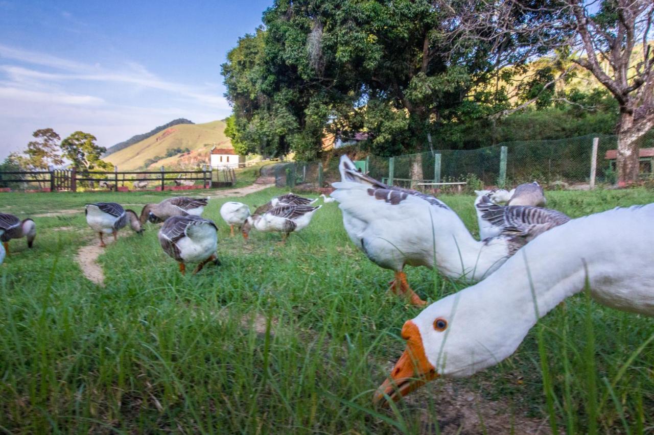 Hotel Fazenda Canto Da Serra Jaconé Eksteriør bilde